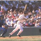 Boston Red Sox Wade Boggs Original 1988 Pinup Photo