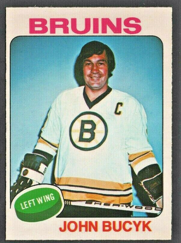 1973-1976 OPC Boston Bruins Team Lot 14 diff John Bucyk Phil Esposito Wayne Cashman O Pee Chee !