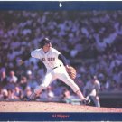 BOSTON RED SOX AL NIPPER and FENWAY PARK AERIAL VIEW 1985 PINUP PHOTOS