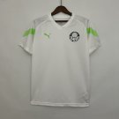 Palmeiras Shirt Jersey 23/24  Edition Soccer Shirt Jersey Palmeiras