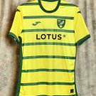 Norwich City 2023 2024 Shirt Jersey Home Men's Football Soccer Shirt Shirt Jersey 23/24