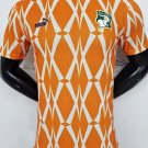 Ivory coast Shirt Jersey Special Edition 23/34 Shirt Football Soccer cote d'ivoire Shirt Jersey
