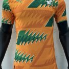 Ivory coast Shirt Jersey Special Edition 23/34 Shirt Football Soccer cote d'ivoire Shirt Jersey