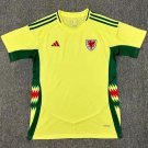 2024/25 Wales Away Shirt Jersey