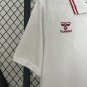 2024 Denmark Away Shirt Jersey
