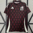 24-25 Mexico Shirt Jersey Home Fans Soccer