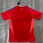 24-25 Italy Goalkeeper red soccer jersey