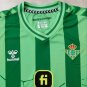 24-25 Real Betis Shirt Jersey special version green