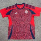 24-25 Shirt Jersey Costa Rica Home