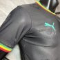 Senegal Jersey Special Edition 25-26 Soccer Men's Shirt Jersey Senegal 2025-2026 Football New