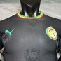 Senegal Jersey Special Edition 25-26 Soccer Men's Shirt Jersey Senegal 2025-2026 Football New