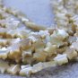 16inch Genuine pearl shell|Mop shell|mother of pearl shell|star carved beads 6mnm
