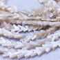 16" Naturla brown mop Shell / Triangle / Bead / Spacer /white pearl shell 10-14mm