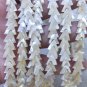 16" Naturla brown mop Shell / Triangle / Bead / Spacer /white pearl shell 10-14mm