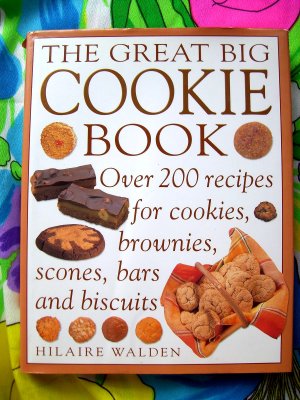 GREAT BIG COOKIE BOOK Cookbook ~ 200 Recipes for Cookies Brownies Scones Biscuits~ Hilaire Walden