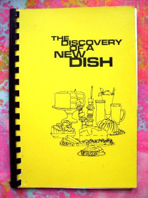 Discovery of a New Dish Cookbook Minnesota MN Church Cookbook Stillwater Hugo Bayport  Lake Elmo