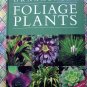 Rare Garden Book ~ Ornamental Foliage Plants for Your Garden  by Denise Greig