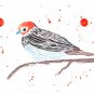 Sparrow Painting Bird Original Art Songbird Watercolor Artwork Wildlife Nature