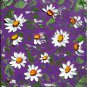 Flower Floral Oil Painting  Impasto Daisy Art Wildflowers Original Art 8.5 by 8