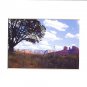SEDONA, ARIZONA TREE, White Matted Print, Renee Rutana