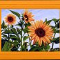 SUNFLOWERS Spring, Yellows, Greens and Blue Botanical Blank Greeting Card, Renee Rutana