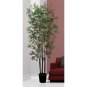Mini Bamboo Tree 6 ft
