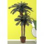 Double Potted Sago Palm Silk Tree 6ft and 4ft