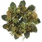 18" Artichoke Wreath