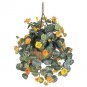 Nasturtium Hanging Basket Silk Plant