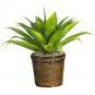 Agave w/Basket Silk Plant