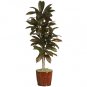 5' Cordyline Silk Plant