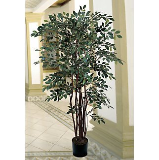 4' Ruscus Silk Tree