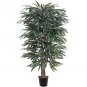 5' Weeping Ficus Silk Tree