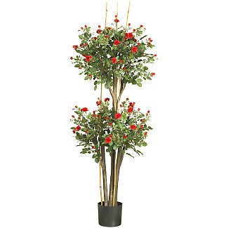 5&acirc;�� Mini Rose Silk Tree