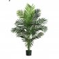 5' Paradise Palm Silk Tree