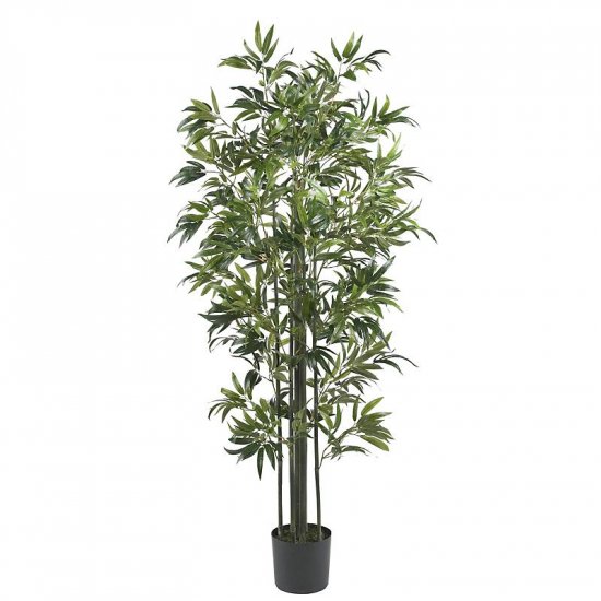 6' Bamboo Silk Tree