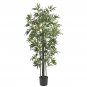 6' Bamboo Silk Tree