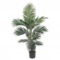 4' Kentia Palm Silk Tree