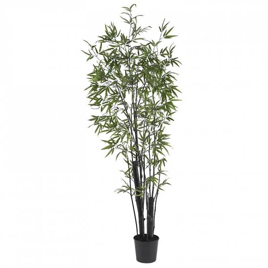 6.5' Black Bamboo Tree (2 Thick Trunks)