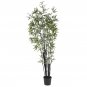 6.5' Black Bamboo Tree (2 Thick Trunks)