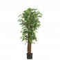 68" Mini Japanese Ficus Silk Tree