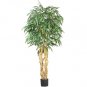6' Weeping Ficus Silk Tree
