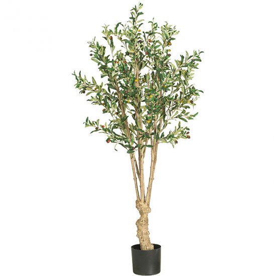 5' Olive Silk Tree
