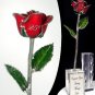 The 11" 25th Anniversary Rose