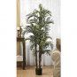 5' Robellini Palm Silk Tree