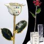 Mother's Rose From The Kids