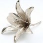 The Oriental Lily