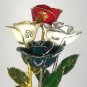 "Armed Forces" Rose