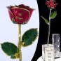 The Spiritual Rose