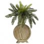 Cycas with Decorative Vase Silk Plant